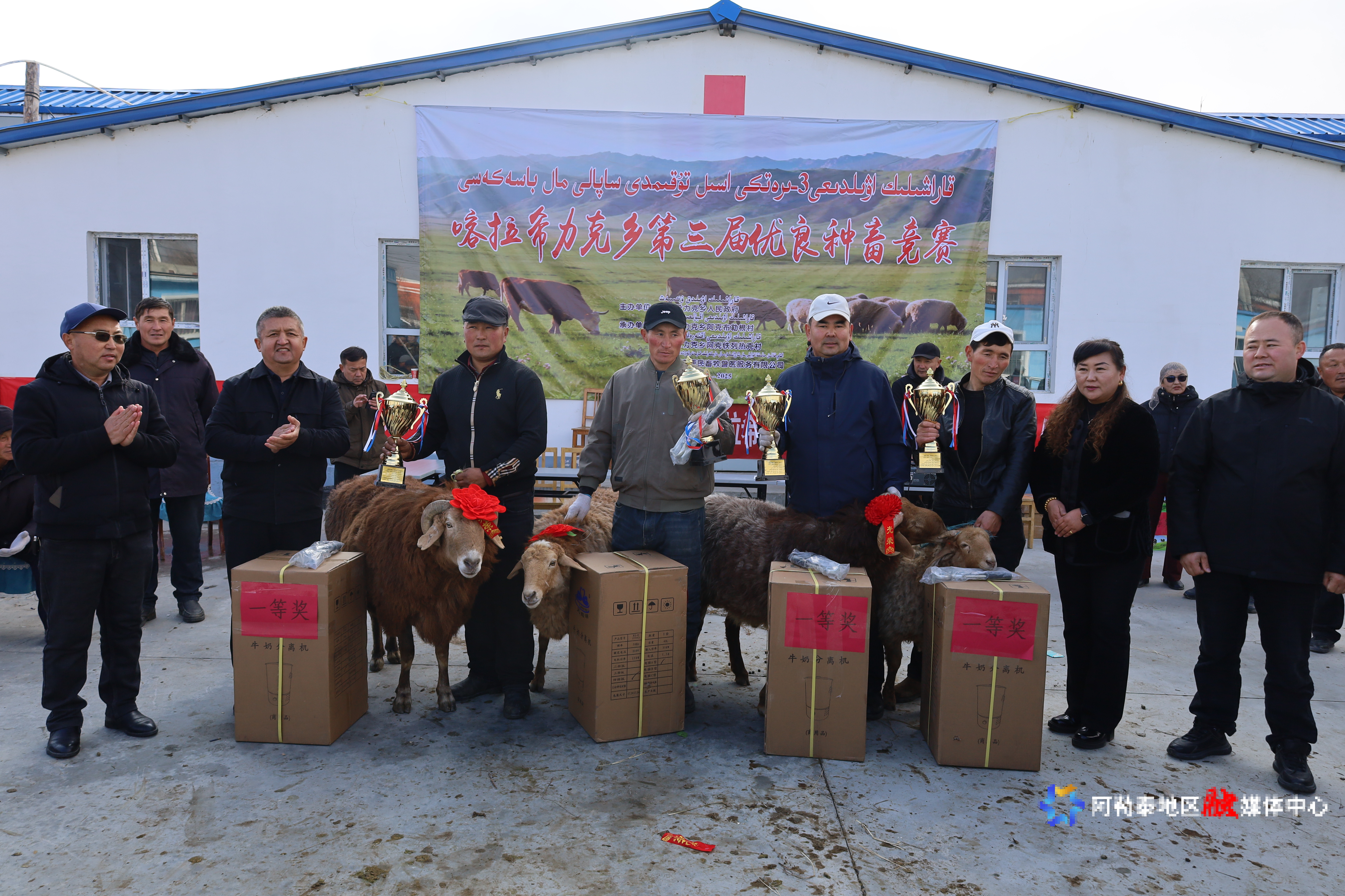 阿勒泰羊比赛第一名