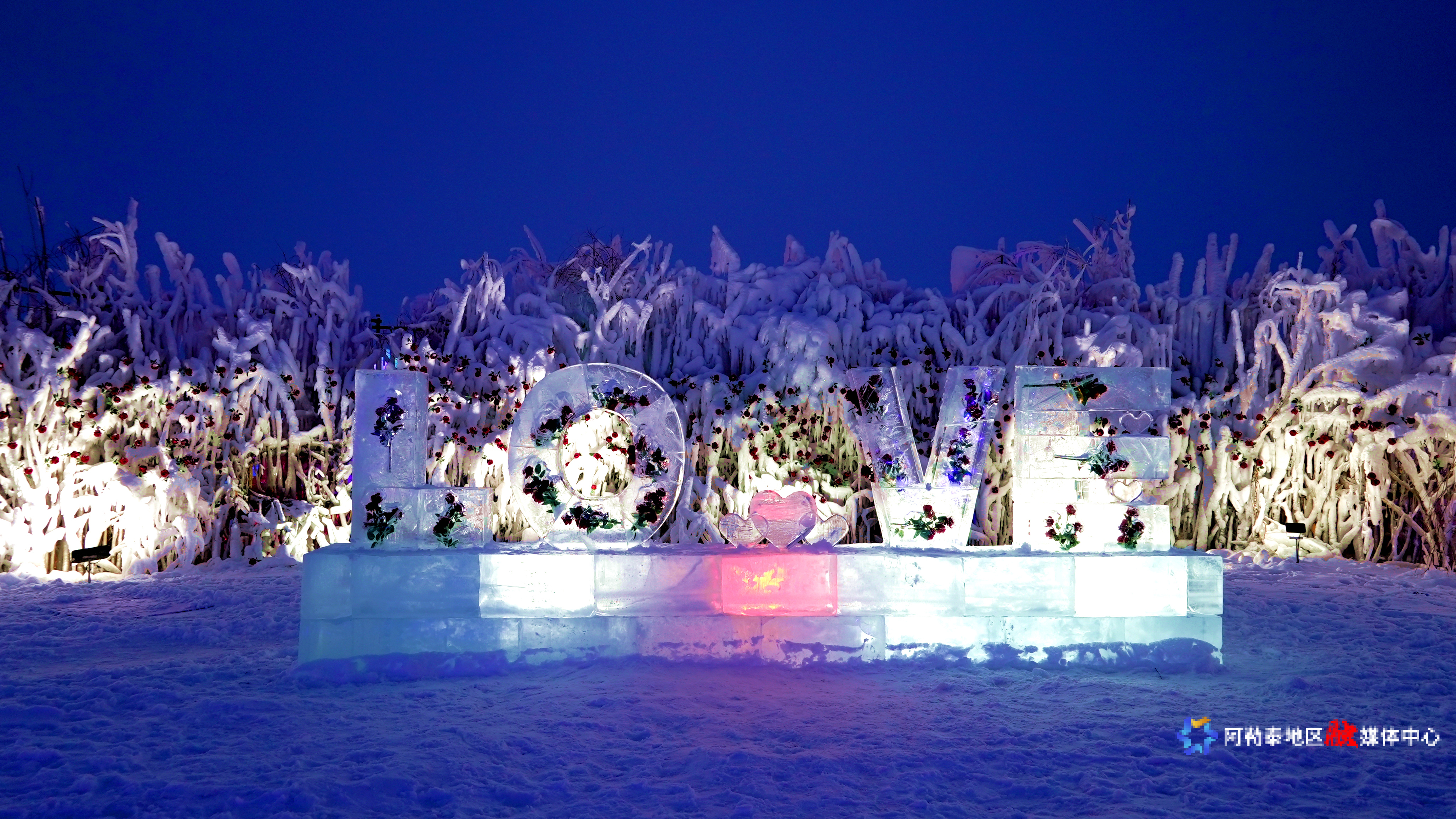 Image_1770956013991_685