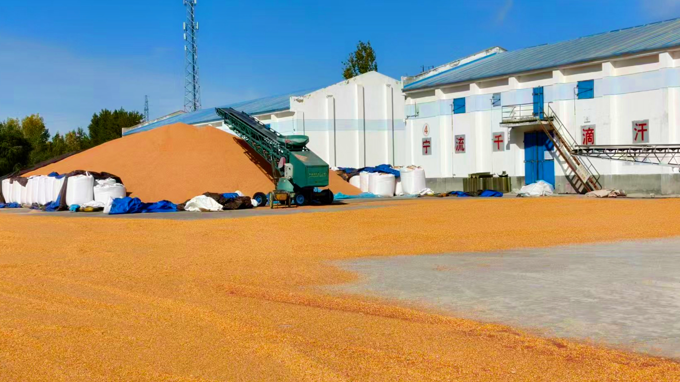 mmexport1792322209535